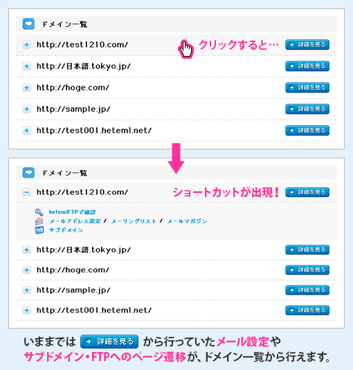 �ɥᥤ��������硼�ȥ��åȥ�˥塼�ξܺ�