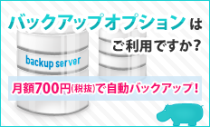 �Хå����åץ��ץ����Ϥ����ѤǤ�����